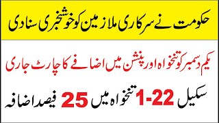 25 Salary Increase to Govt Employee on 1st December [upl. by Yllah]