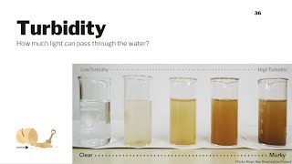 Turbidity Water Quality Parameters 7 [upl. by Starks]