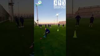 FC Astana  Speed Reaction [upl. by Llenad565]