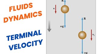 Terminal velocity Fluids dynamics  Class 11 Chapter 6 physics fluiddynamics class11 [upl. by Crist]