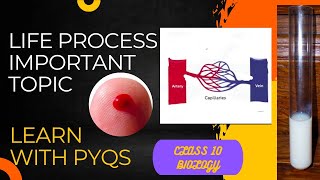 CLASS 10  LIFE PROCESSbiology cbsc pyqs [upl. by Inalaehon612]