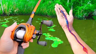 Fishing a BIG Worm for Pond MONSTERS [upl. by Ahsikyw942]