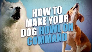 How to Make a Dog Howl On Command [upl. by Mirelle570]