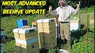 Most Advanced Beehive  Update 2 [upl. by Land]