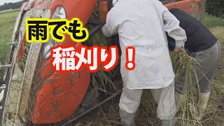 【特集】農機具スペシャル 稲刈りで最も過酷だった倒伏田と雨【農機具】【稲刈り】 [upl. by Essy]