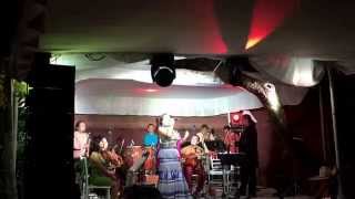 El Mixteco  Pasatono Orquesta con Lila Downs [upl. by Ynohtna116]