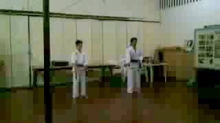 BASIC KIHON KATA 15 OKINAWA SHORIN RYU [upl. by Nagaek42]