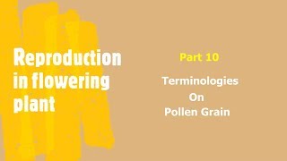 Class 12 Biology  Reproduction in Angiosperms Part 10 Terminology  By Lakshmi Maam [upl. by Ydarb]