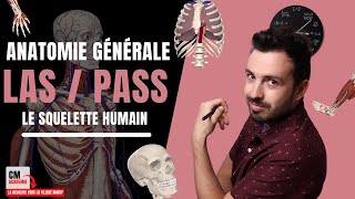 ANATOMIE GENERALE 🦴  Le squelette humain crâne ulna radius patella fibula sternum [upl. by Gradey497]