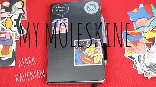 18  MY MOLESKINE КАК Я ВЕДУ ЕЖЕДНЕВНИК  разворот на месяц и день  ГЛАЗА И ГУБЫ [upl. by Harshman]