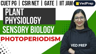 Plant Physiology  Sensory Biology  Photoperiodism CUET PGIIT JAMNET VedPrep Biology Academy [upl. by Weidman]