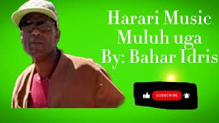 Harari music 🎶 ByBahar [upl. by Manchester]