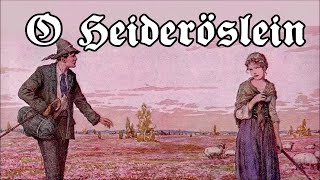 O Heideröslein  MarschliedMarching Song  English translation [upl. by Hazlett]