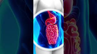 What Affects Acidity All the Factors You Need to Know [upl. by Eilahtan]