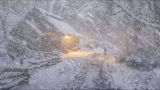 Raging Blizzard ❄️ Howling Wind Mesmerizing Snow Wonderful Winter Experience [upl. by Harewood]