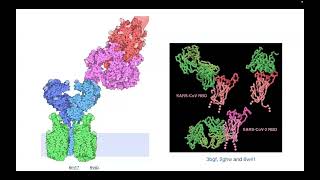 Practical HandsOn Cheminformatics Database and Tool to view the ProteinLigand Interaction [upl. by Jonie]