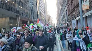 Pro Palestine Rally in Toronto  Canada  Dec 2023 palestine freepalestine [upl. by Emmery]