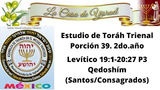 Porción 39 Año 2 de estudio de la Toráh Levítico 1912027 Trienal Parte 3 [upl. by Htur]