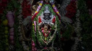 narasimha jayanti status 2024  om jai narasimha deva aarti ringtone  narasimhadeva aarti [upl. by Amaleta]