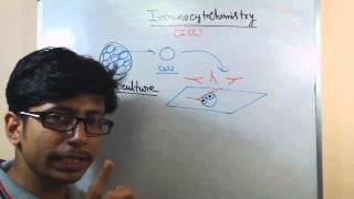 Immunocytochemistry lecture principle and procedure [upl. by Ecirehc]