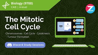 The Mitotic Cell Cycle  Biology AS Level  Discord Study Session [upl. by Rebe]