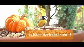 Schöne Herbstferien [upl. by Lasonde489]