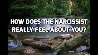 How Does The Narcissist Really Feel About You [upl. by Ilera]