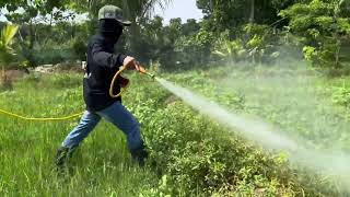 Herbicide spraying sa nga sumibol na palay sa pinag harbisan [upl. by Refotsirk]