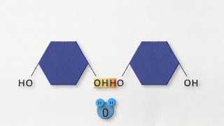 Dehydration synthesis and hydrolysis [upl. by Aikal112]