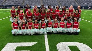 Lions Spotlight Lionettes Performing  The Houston Texans Game [upl. by Sorel]