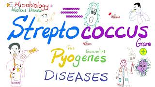 Streptococcus pyogenes diseases  Microbiology amp Infectious Diseases 🧫 [upl. by Anoi]