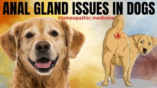 Anal gland issues in dogs । Homeopathic medicine । Dog market is like share market । [upl. by Ketchan]