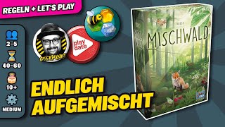 MISCHWALD  Lookout Spiele  Brettspiel  Regeln amp Lets Play [upl. by Anson]