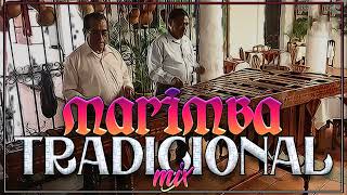 Marimba De Chiapas  Marimba Tradicional Para Bailar [upl. by Puklich971]