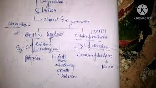 Biosynthesis of polyamines [upl. by Fredette]