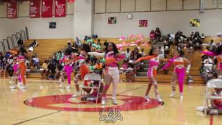 IRS DAY 2024  DAYTON OHIO HIGH STEPPERS  SENIOR SQUAD [upl. by Mun]