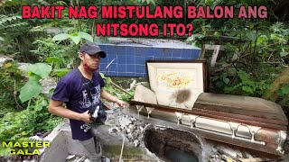 MGA HINUKAY NA NITSO SA GINIBANG SEMENTERYO HALLOWEEN SPECIAL EPISODE 1 [upl. by Cami]