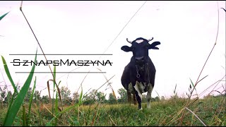 Sznaps Maszyna • GORZOŁKA [upl. by Ahseneuq]