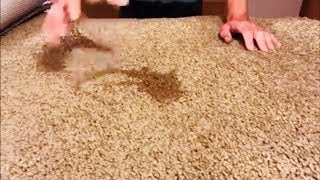 Why do carpet stains reappear after cleaning [upl. by Ardith]