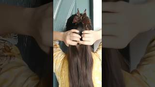 Claw Clip Hairstyle ✨ hairstyle shortvideo trending clawclip clutcher shorts [upl. by Moule]