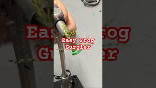 Foam Gurgler Frog Fly flytying foamfly flyfishing flytyingaddict [upl. by Nasya396]