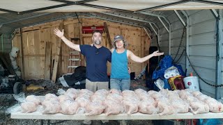 How We Process Our Meat Birds  Chickens Using our Homemade Chicken Scalder and Plucker [upl. by Gnourt]