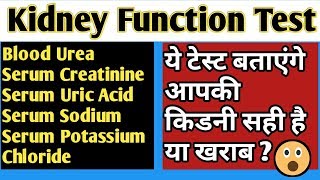 Kidney function test in hindi [upl. by Aramak]