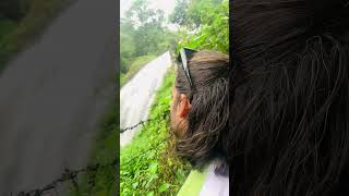 Chelavara Water Fall  coorg waterfall trip viral [upl. by Lanny]