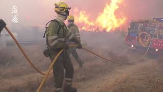 Bomberos forestales de la Generalitat en el incendio de Bejís el 18 de agosto [upl. by Sinnek]