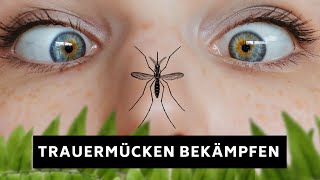 Trauermücken bekämpfen  Einfach und effizient Neemöl Nematoden und mehr [upl. by Teddi]