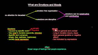 What are Emotions and Moods  Organisational Behavior  MeanThat [upl. by Gussie]