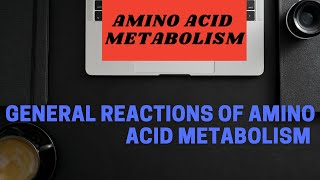 General Reactions of amino acid metabolism  Transamination  Deamination  Decarboxylation [upl. by Nylikcaj]