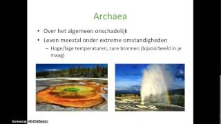 Basisstof 2  De domeinen bacteriën en archaea Thema 4  Ordening [upl. by Lyall]