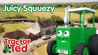 Juicy Squeezy 🫐 BRAND NEW To You Tube Kids  Tractor Ted Full Episode [upl. by Ybeloc]